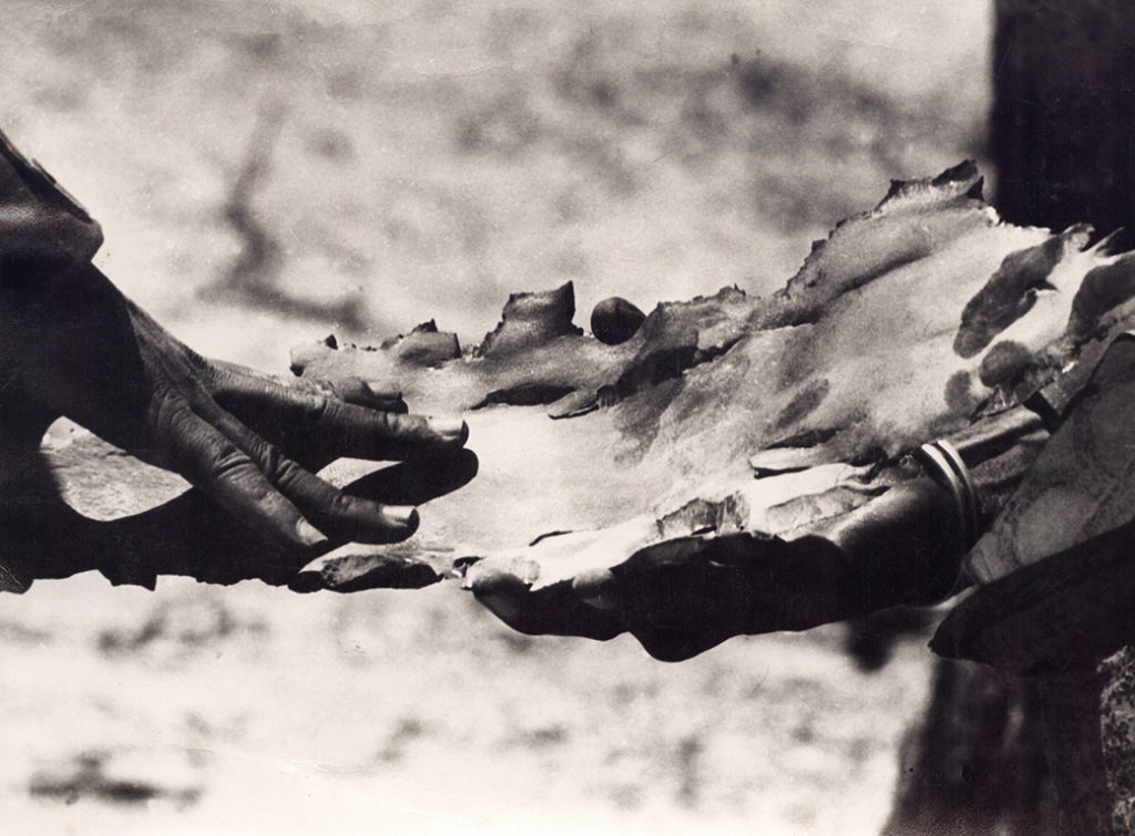 Mãos de combatentes das forças armadas segurando destroços de projecteis sul-africanos (JAIMAGENS)