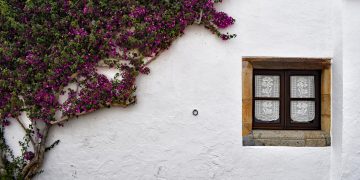 Alentejo está entre as quatro regi\oes onde os preços baixaram