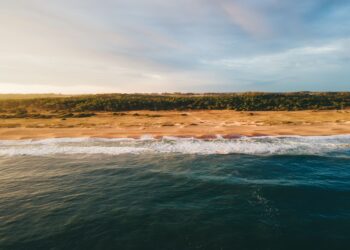 (Foto Pedro Slinger/Pexels)