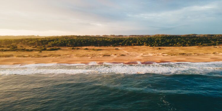 (Foto Pedro Slinger/Pexels)