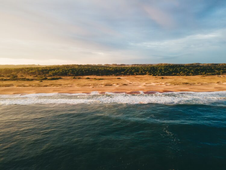 (Foto Pedro Slinger/Pexels)